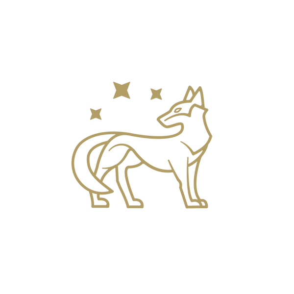 Xocogram Chocolates®